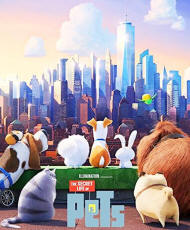 THE SECRET LIFE OF PETS