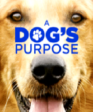 A DOG'S PURPOSE