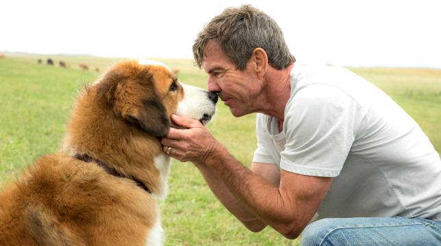 A Dog's Purpose